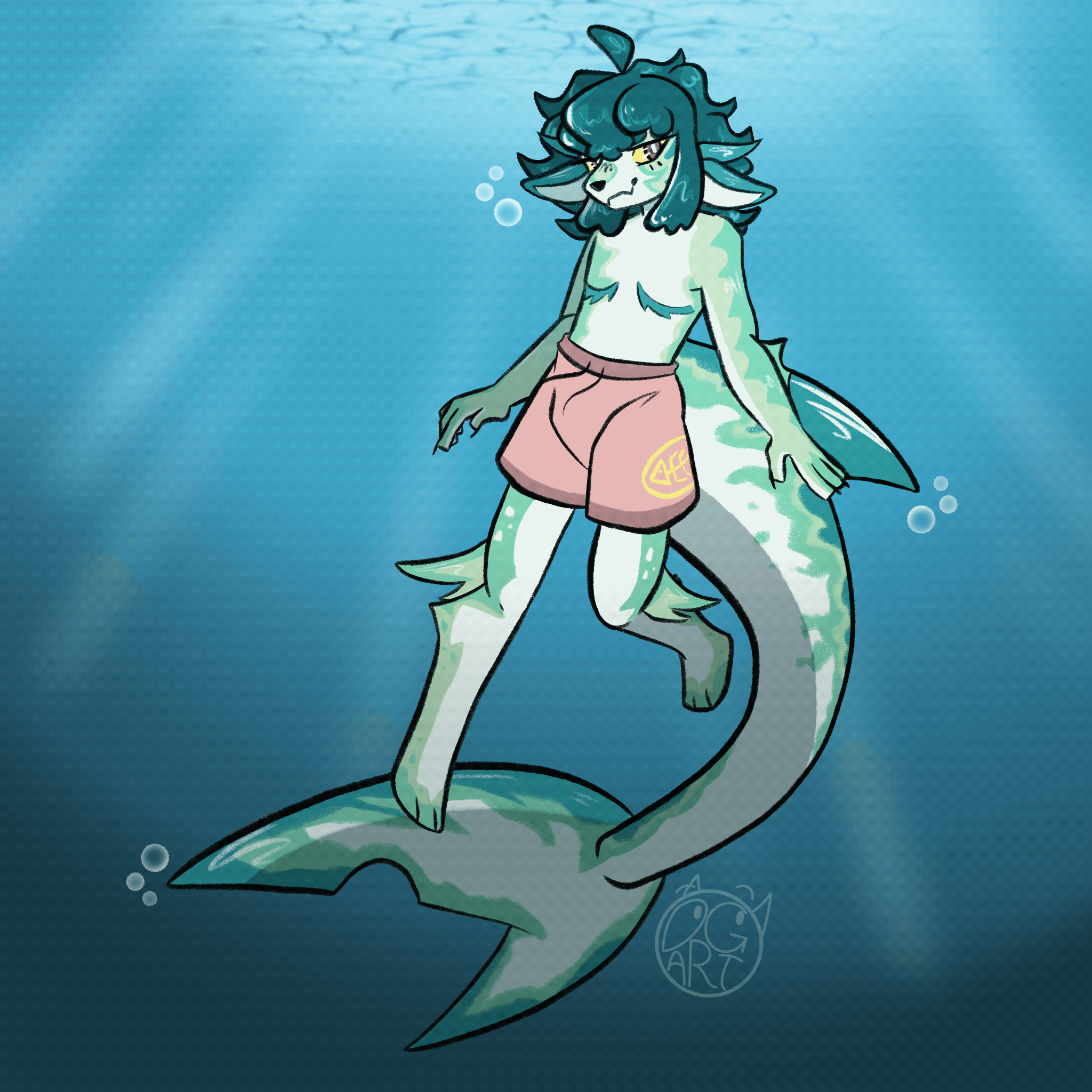 aqua full