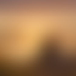 Navigating the Waves of Grief: Finding Hope in the Healing Journey