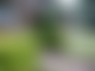 Bushes and manicured lawn in front of a red brick house