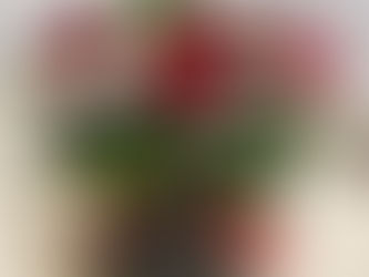 Celebrate Valentine’s Day with Same-Day Flower Delivery in Nicosia – Only €6.50