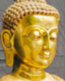 image1.jpeg