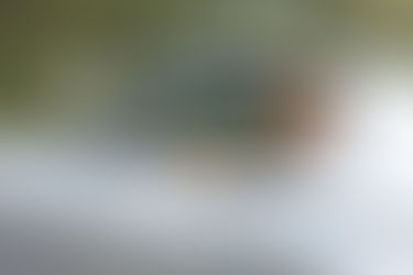 Driven Radio Show #14: Keith Martin of Sports Car Market Magazine