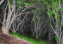 294269374_353118120316219_1899260148071991517_n