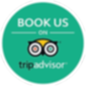 tripadvisor book