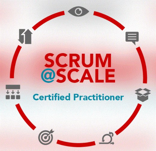 Scrum_ScalePractitioner.GIF