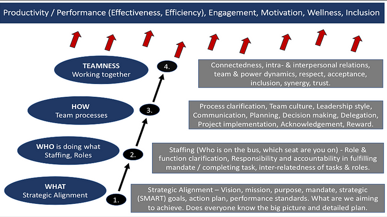 Team model.png
