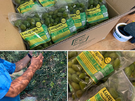 LUCQUES Fraîches Nouvelle Récolte Livrées chez vous ! -10% Avec le code OMMR10