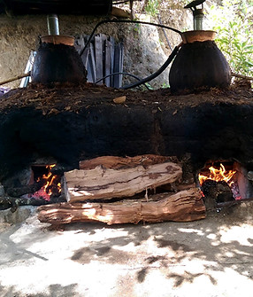 proceso-mezcal-14.jpg