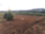 Backfill complete