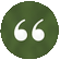 icona2.gif
