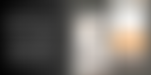 Why WordPress Development Services Are Essential for Business Growth in 2026