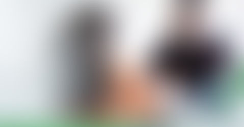 Key Soft Skills to Look for in Candidates During No-Experience Interviews