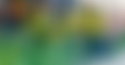 Cultivating Equality and Value Across Job Hierarchies