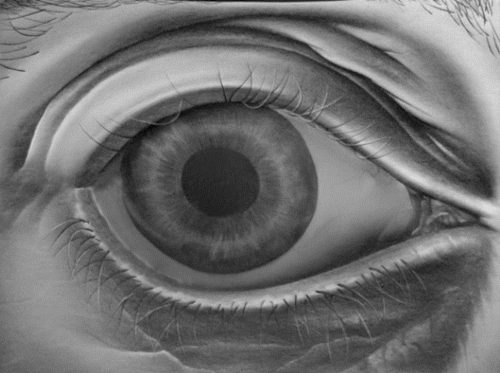 mock3d_eye_Export_shorten_PSweb_[01843-0