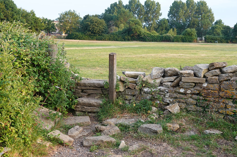 Dry Stone Walling