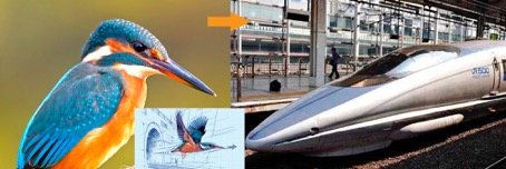 Kingfisher-Bird-and-Bullet-Train-URL01.jpg