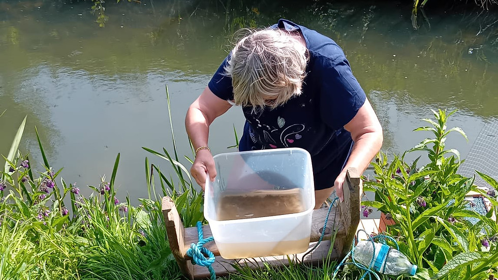 river fly 1.jpeg