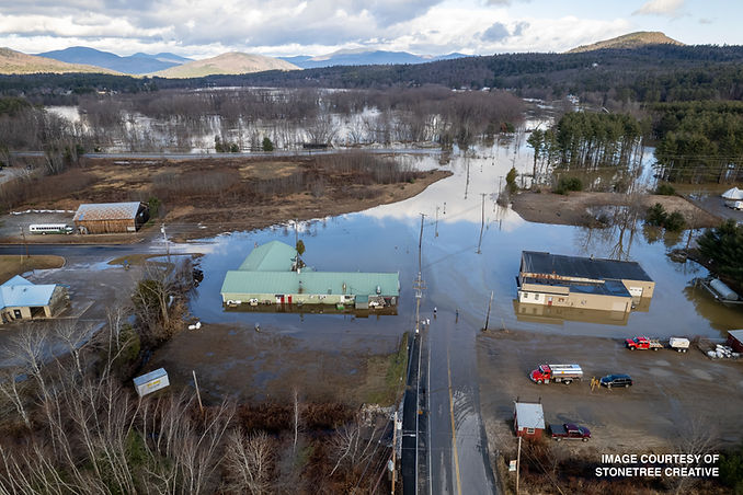 Stonetree Creative-BETHEL FLOOD-18.jpg