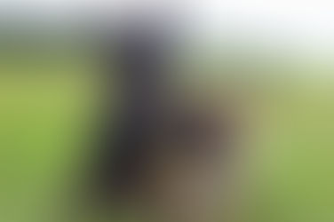 10 Tips To Help Extroverts Shut The Heck Up Once In A While