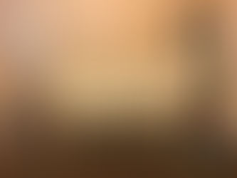 New Additions to the Nursery