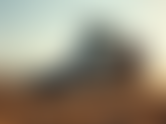 Efficient Skid Steer Services for Land Clearing and Grading