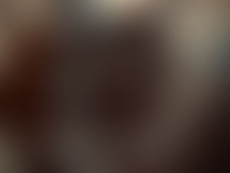 Barn Cat Day – Honoring the Kings and Queens of the Barn