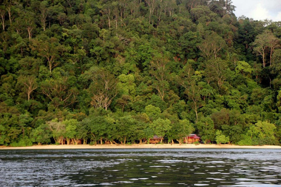 Penampakan Rimba Ecolodge