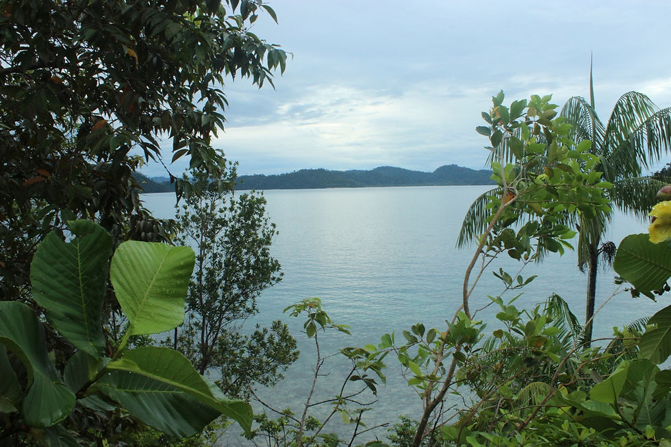 Pamutusan