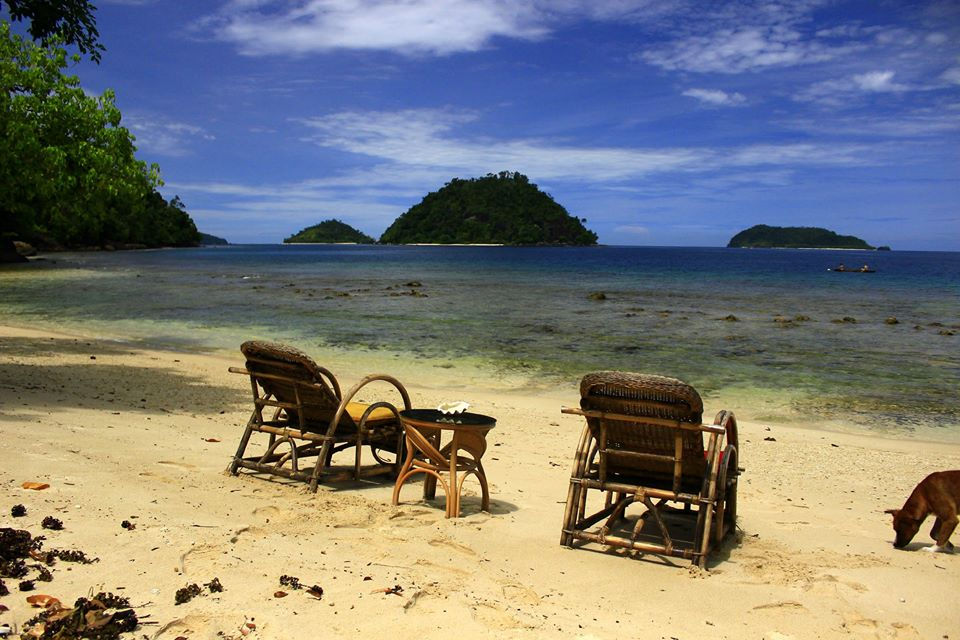 View dari Rimba Ecolodge