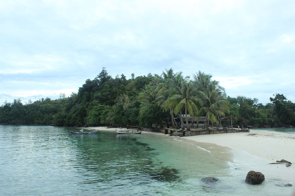 Pamutusan
