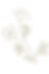 new floral layout (1).png