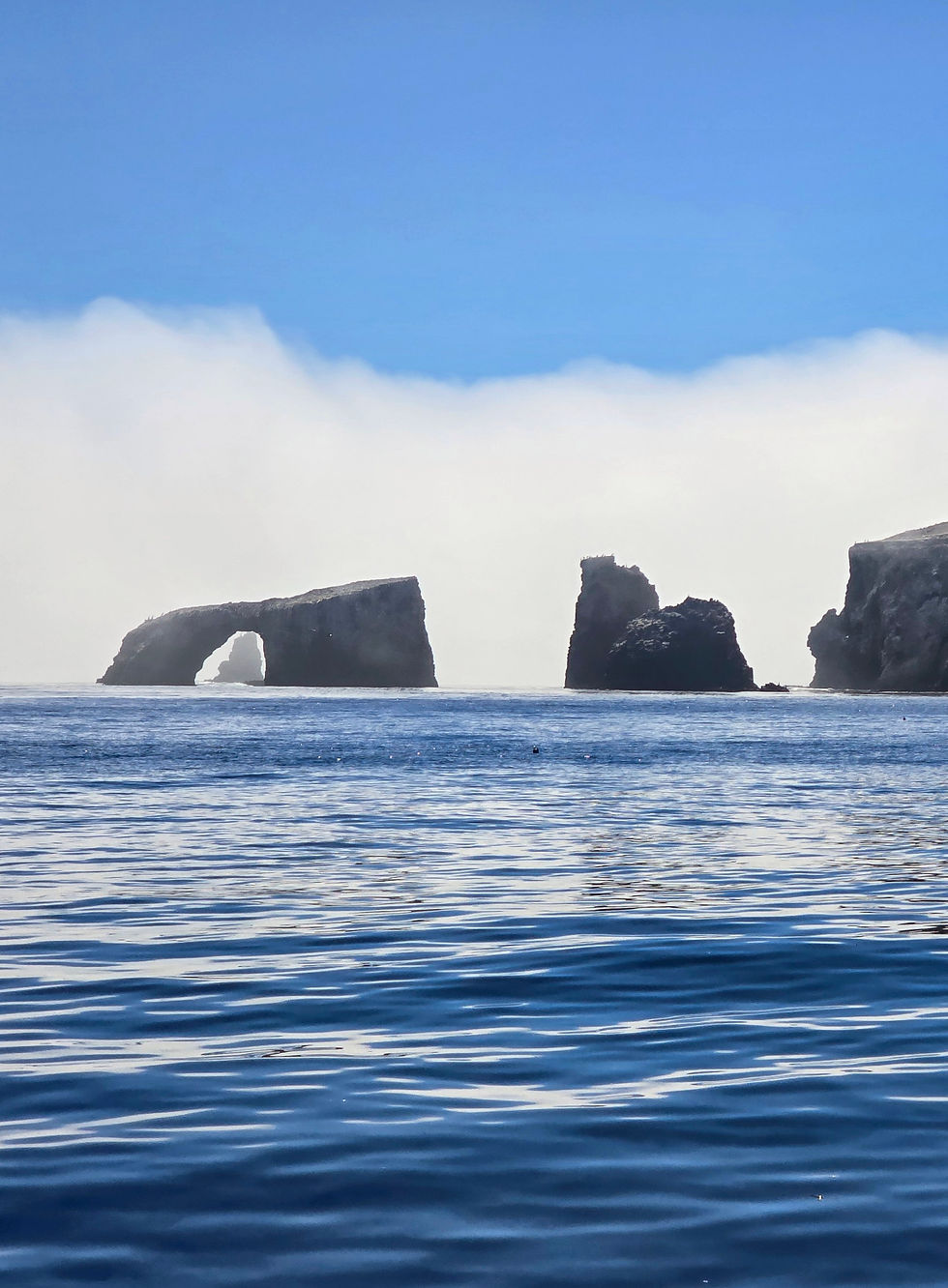 Anacapa arch for membership card.jpg