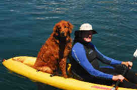 2021 Baja adventures