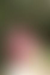 Girish engaged to Archana