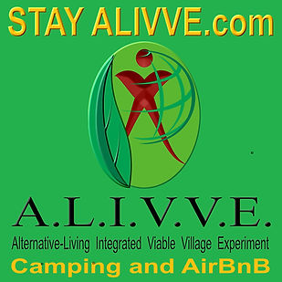 stayalivve.jpeg