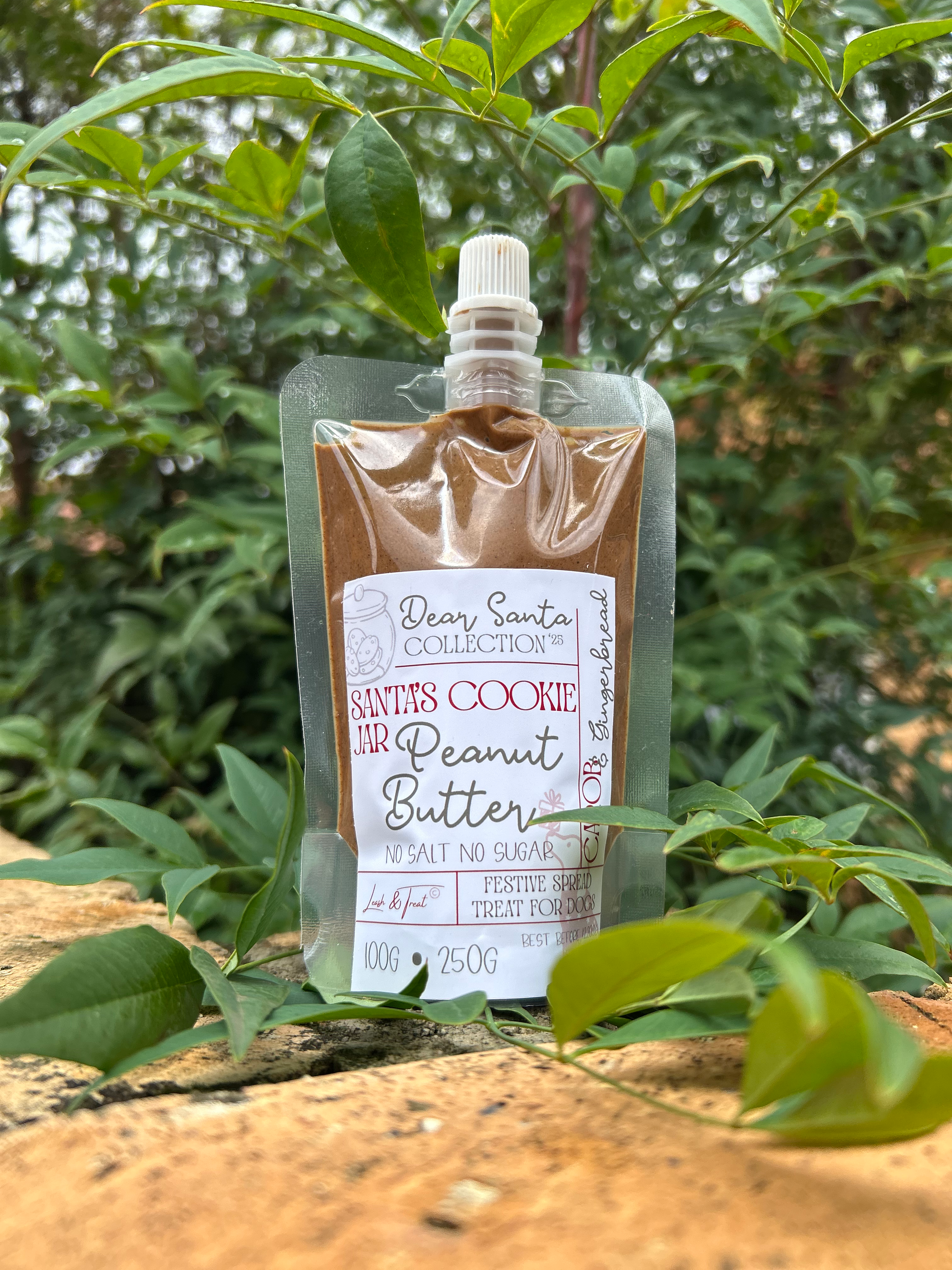 SANTA'S COOKIE JAR | PEANUT BUTTER