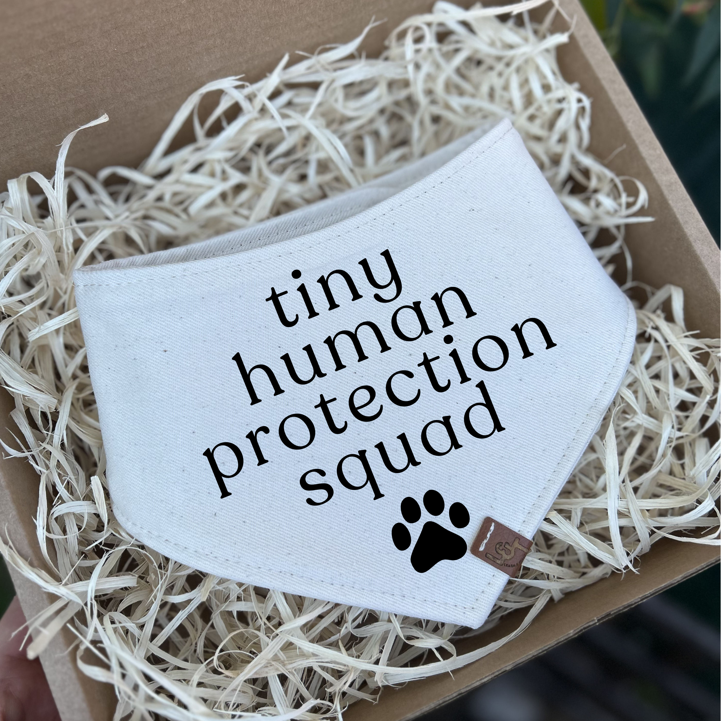 TINY HUMAN PROTECTION SQUAD | BABY ANNOUNCEMENT BANDANA 