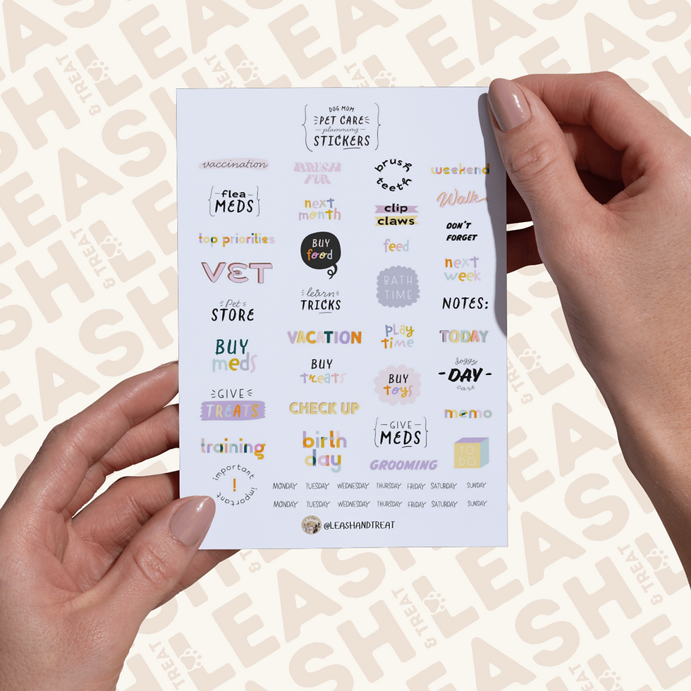 Thumbnail: ULTIMATE COMBO | PLANNERS & STICKER SHEETS