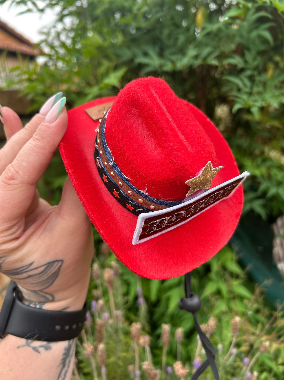 Thumbnail: HOWDY PARTNER | COWBOY HAT 