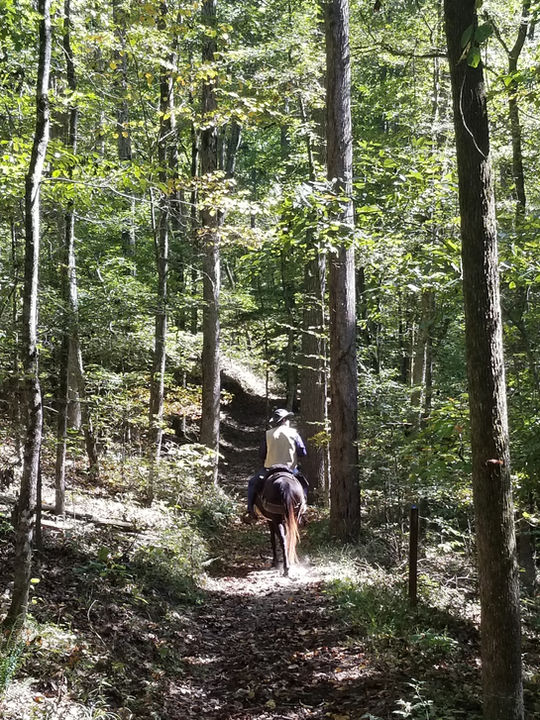 20201017_130934.jpg