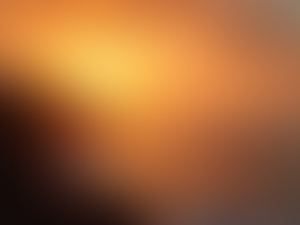 Must-Visit Attractions Near Varkala for an Unforgettable Kerala Experience