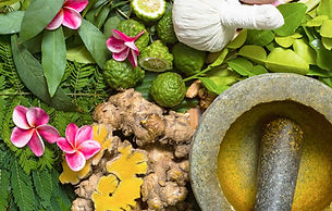 生ハーバルボール作り