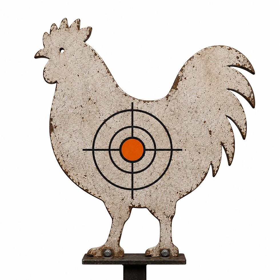 chicken target.png