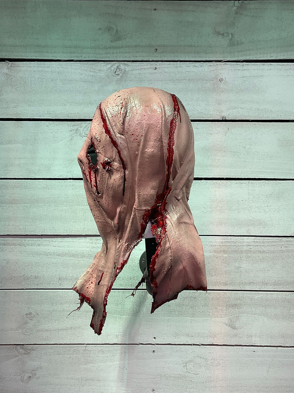 Thumbnail: The Silent Watcher