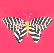 Pink Butterfly