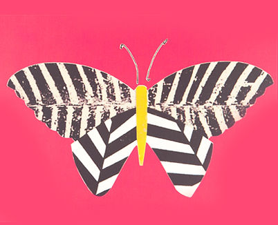 Pink Butterfly