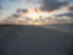 DSCN0248