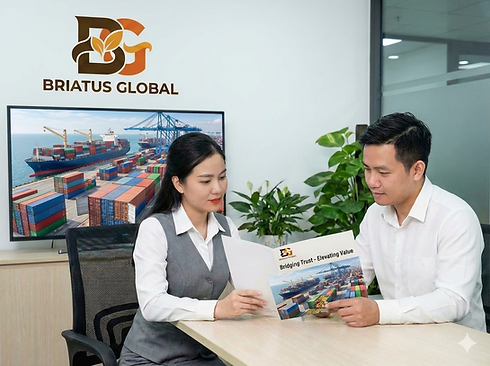 Tư vấn dịch vụ xuất nhập khẩu - Briatus Global - 2.png