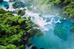 Voyage en Argentine / Les chutes d'Iguazu