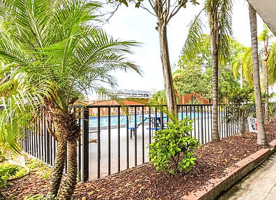 Palm trees and fence surround a pool. Trees, sky, and building visible.